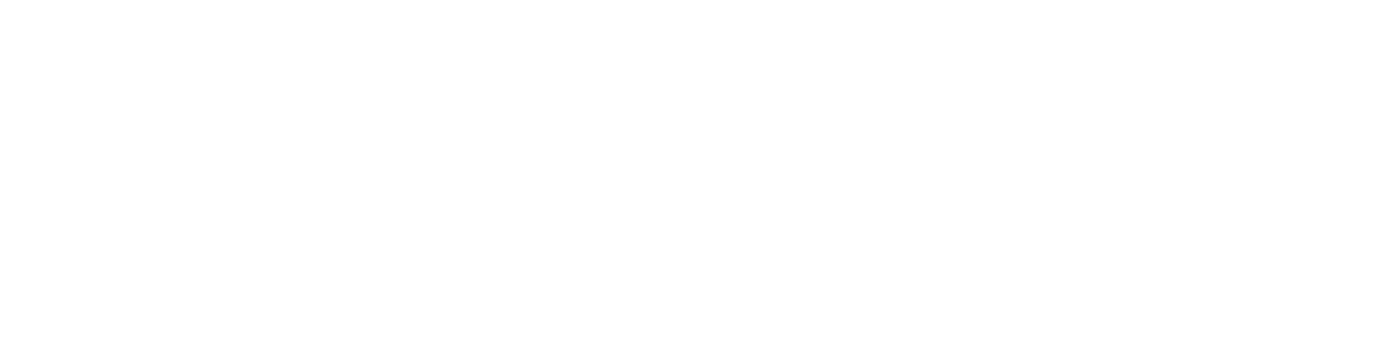 Soulixer
